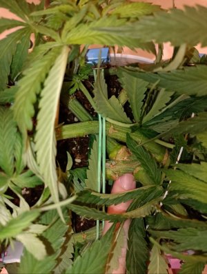 imgonline-com-ua-dexifVgO28WLqYJZV.jpg imgonline-com-ua-dexifVgO28WLqYJZV.jpg