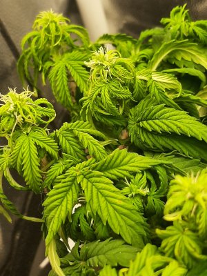 20221211_170413.jpg 20221211_170413.jpg