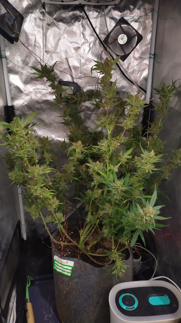 photo_2022-12-12_18-08-30 (2).jpg