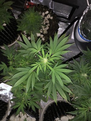 20221212_154607117_iOS.jpg 20221212_154607117_iOS.jpg