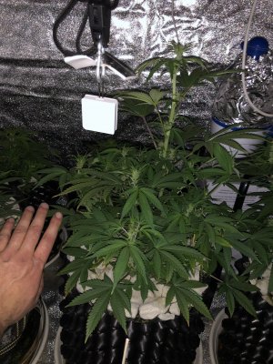 20221212_154559118_iOS.jpg 20221212_154559118_iOS.jpg