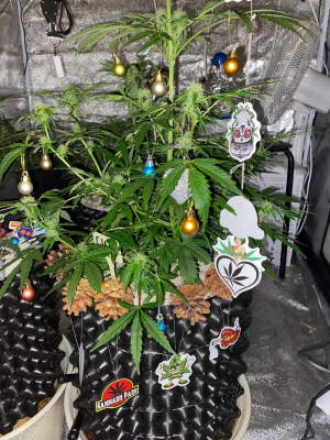 20221211_170601522_iOS.png 20221211_170601522_iOS.png