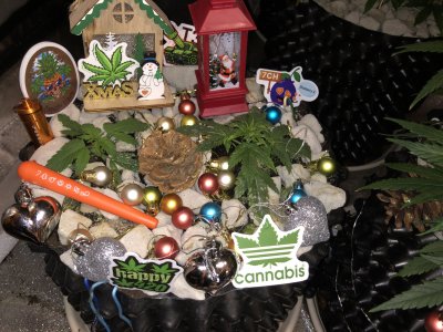 IMG_7362.JPG IMG_7362.JPG