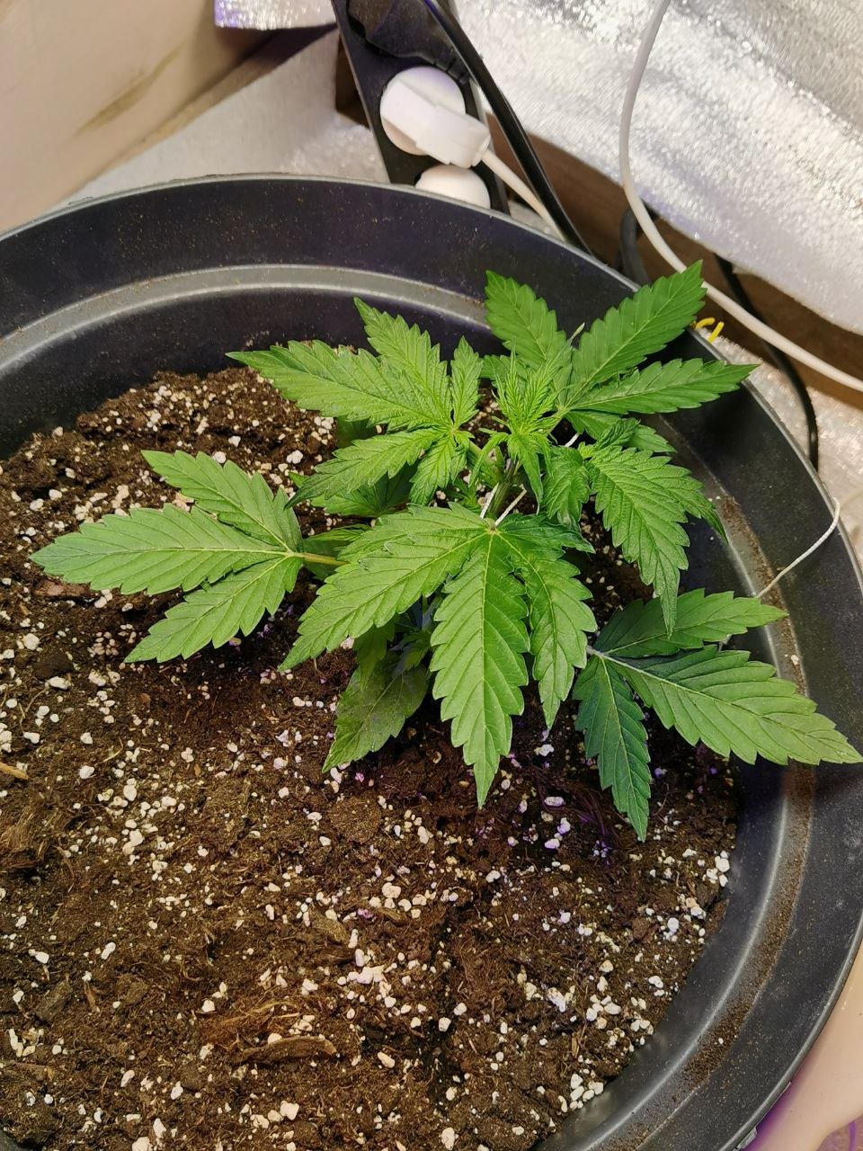 11 — копия.jpg