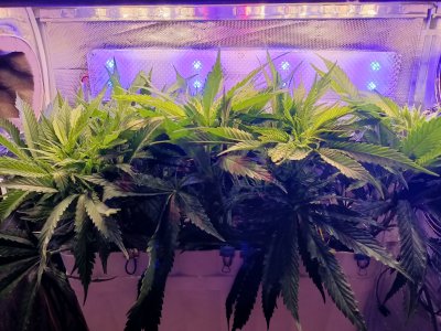 imgonline-com-ua-dexifBDEVgmffQ3Sj.jpg imgonline-com-ua-dexifBDEVgmffQ3Sj.jpg