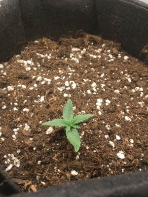 imgonline-com-ua-dexifcgSmyKTKHgDl.jpg imgonline-com-ua-dexifcgSmyKTKHgDl.jpg