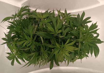 imgonline-com-ua-dexif4WQxDkOpy81r.jpg imgonline-com-ua-dexif4WQxDkOpy81r.jpg