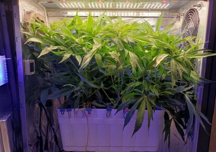 imgonline-com-ua-dexifmA8kcFFdvEV4.jpg imgonline-com-ua-dexifmA8kcFFdvEV4.jpg