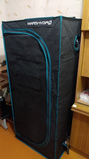 IMG_20221222_174852_688.jpg IMG_20221222_174852_688.jpg