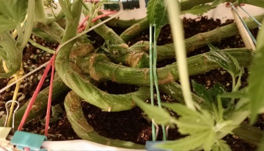 imgonline-com-ua-dexifN1VMMspHB8l2.jpg imgonline-com-ua-dexifN1VMMspHB8l2.jpg