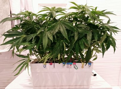 imgonline-com-ua-dexifth4x593mT2lV.jpg imgonline-com-ua-dexifth4x593mT2lV.jpg