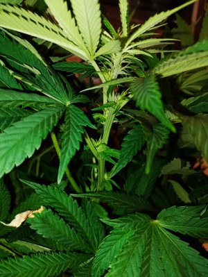 imgonline-com-ua-dexifCoPvbKj7cYlK.jpg imgonline-com-ua-dexifCoPvbKj7cYlK.jpg