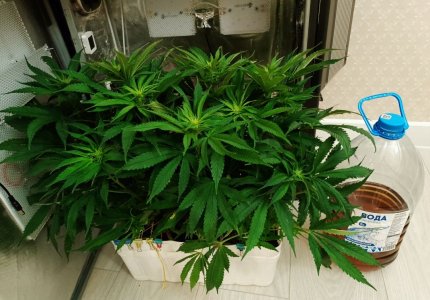 imgonline-com-ua-dexifcx7uu5gqG3Bn.jpg imgonline-com-ua-dexifcx7uu5gqG3Bn.jpg