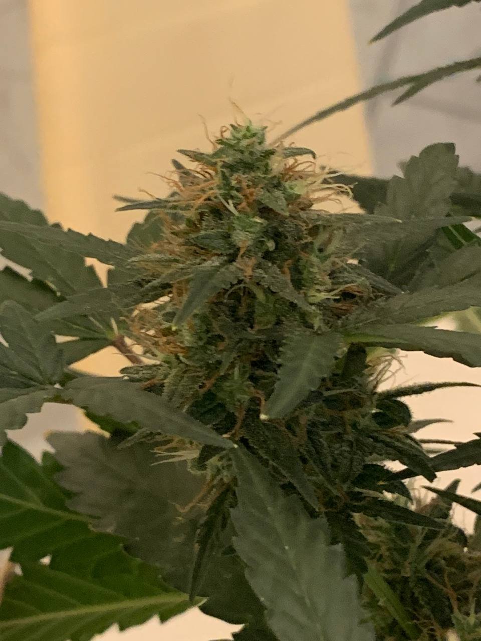 photo_2022-12-31_20-54-32 (2).jpg