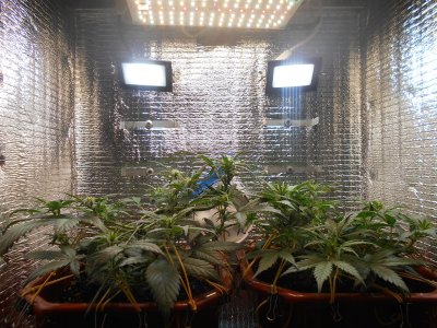 DSCN0433.JPG DSCN0433.JPG