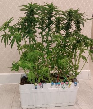 imgonline-com-ua-dexifmbebPGA7wWUx.jpg imgonline-com-ua-dexifmbebPGA7wWUx.jpg