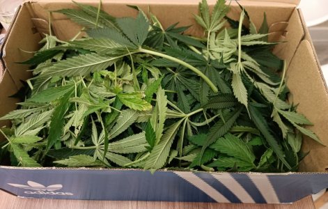 imgonline-com-ua-dexifvOwrO60P6XhL.jpg imgonline-com-ua-dexifvOwrO60P6XhL.jpg