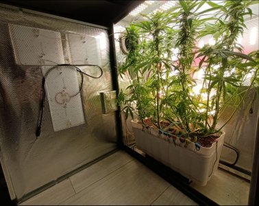 imgonline-com-ua-dexif53tPR8WdR4kB.jpg imgonline-com-ua-dexif53tPR8WdR4kB.jpg