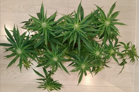 imgonline-com-ua-dexifTJrrglcHwTcL.jpg imgonline-com-ua-dexifTJrrglcHwTcL.jpg