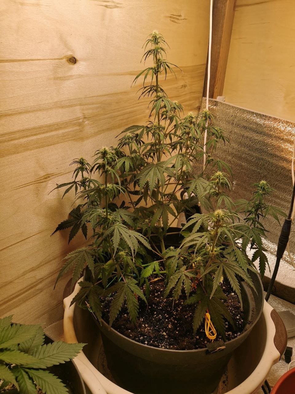 43 — копия.jpg