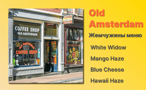 Кофешоп Амстердам Old Amsterdam