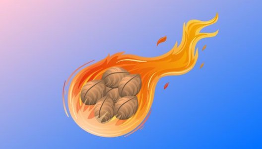 Хранение семян конопли