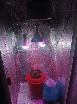 index2.jpg index2.jpg