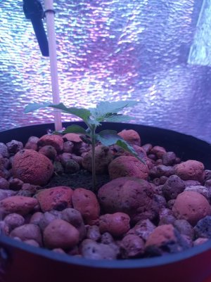 9913b481-4171-48d5-8c65-1f9464e37d63.jpg 9913b481-4171-48d5-8c65-1f9464e37d63.jpg