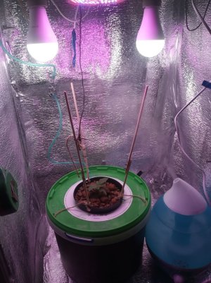 bfb77b0e-1c7e-49e8-bf16-a3e63074a736.jpg bfb77b0e-1c7e-49e8-bf16-a3e63074a736.jpg