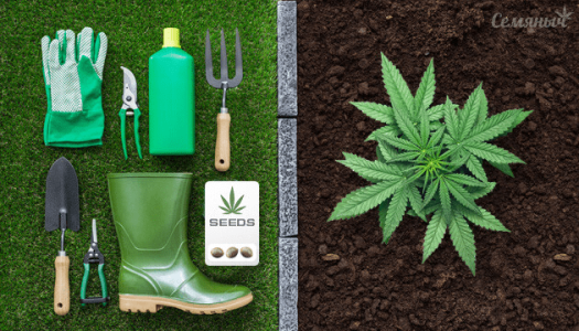 1630245099393.png 1630245099393.png