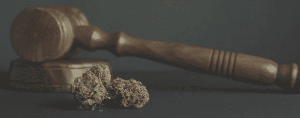 1630931753406.png 1630931753406.png