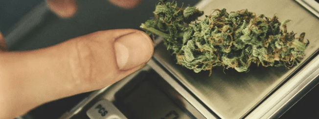 1630931844479.png 1630931844479.png