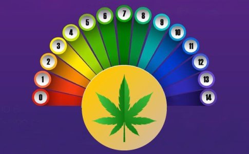 pH для конопли