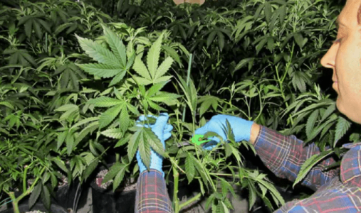 1632217559553.png 1632217559553.png