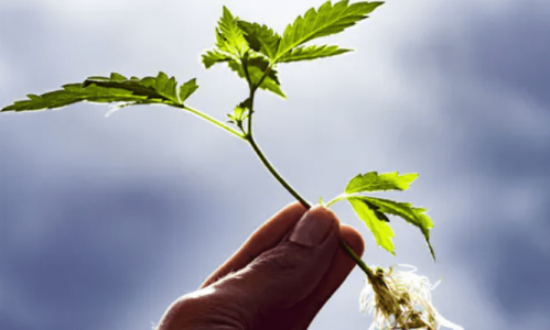 1632217620256.png 1632217620256.png