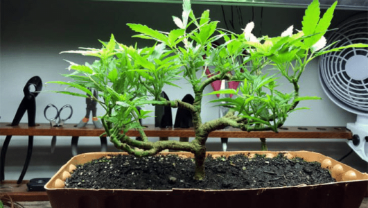 1632217722608.png 1632217722608.png