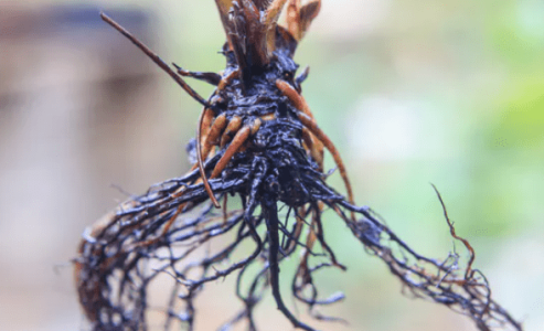 1633532826122.png 1633532826122.png