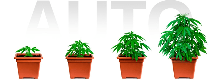 1674672552475.png 1674672552475.png