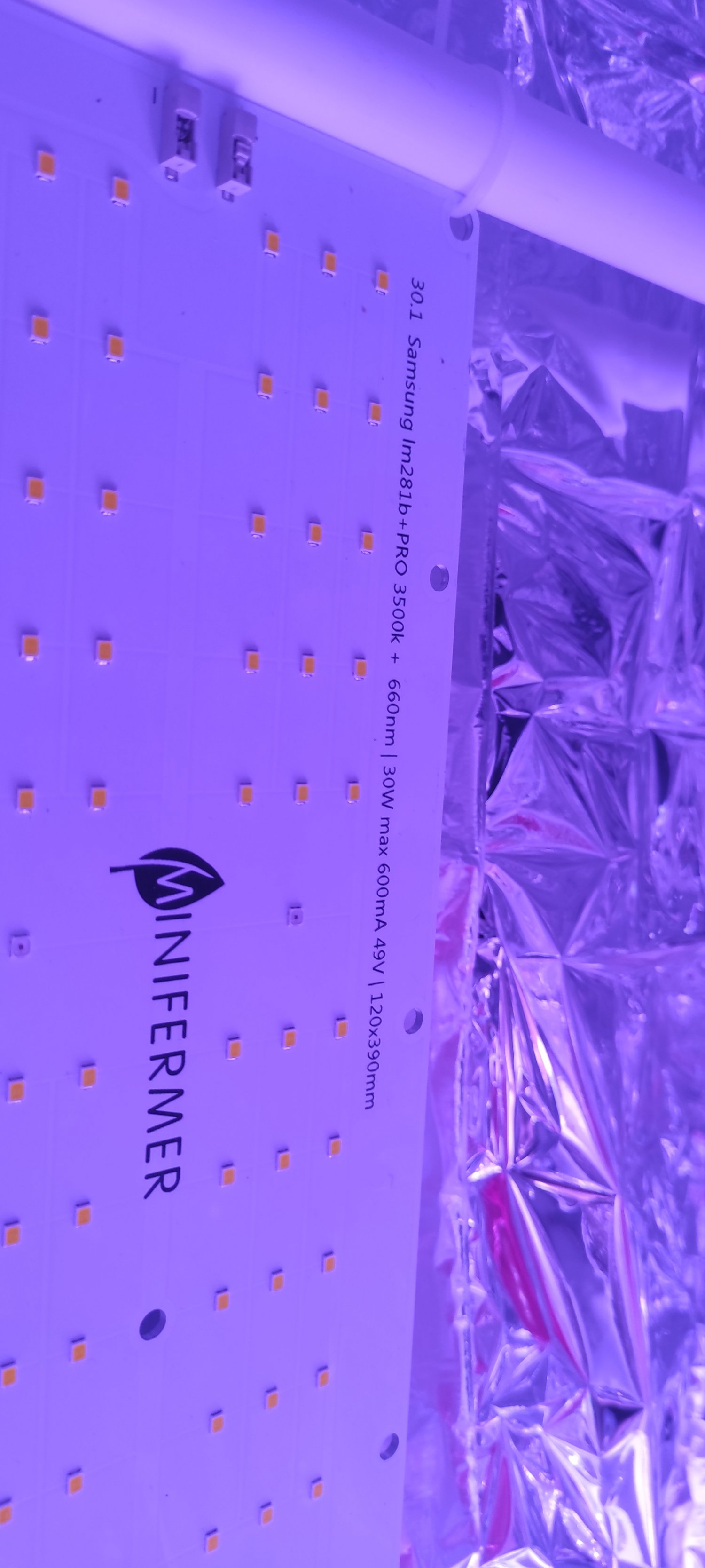 IMG_20230131_174319.jpg IMG_20230131_174319.jpg