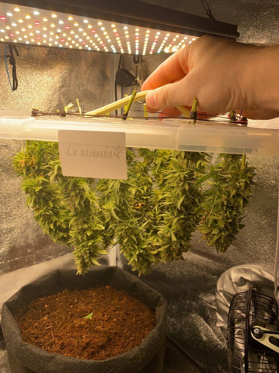 photo_2023-02-03_14-14-22.jpg photo_2023-02-03_14-14-22.jpg