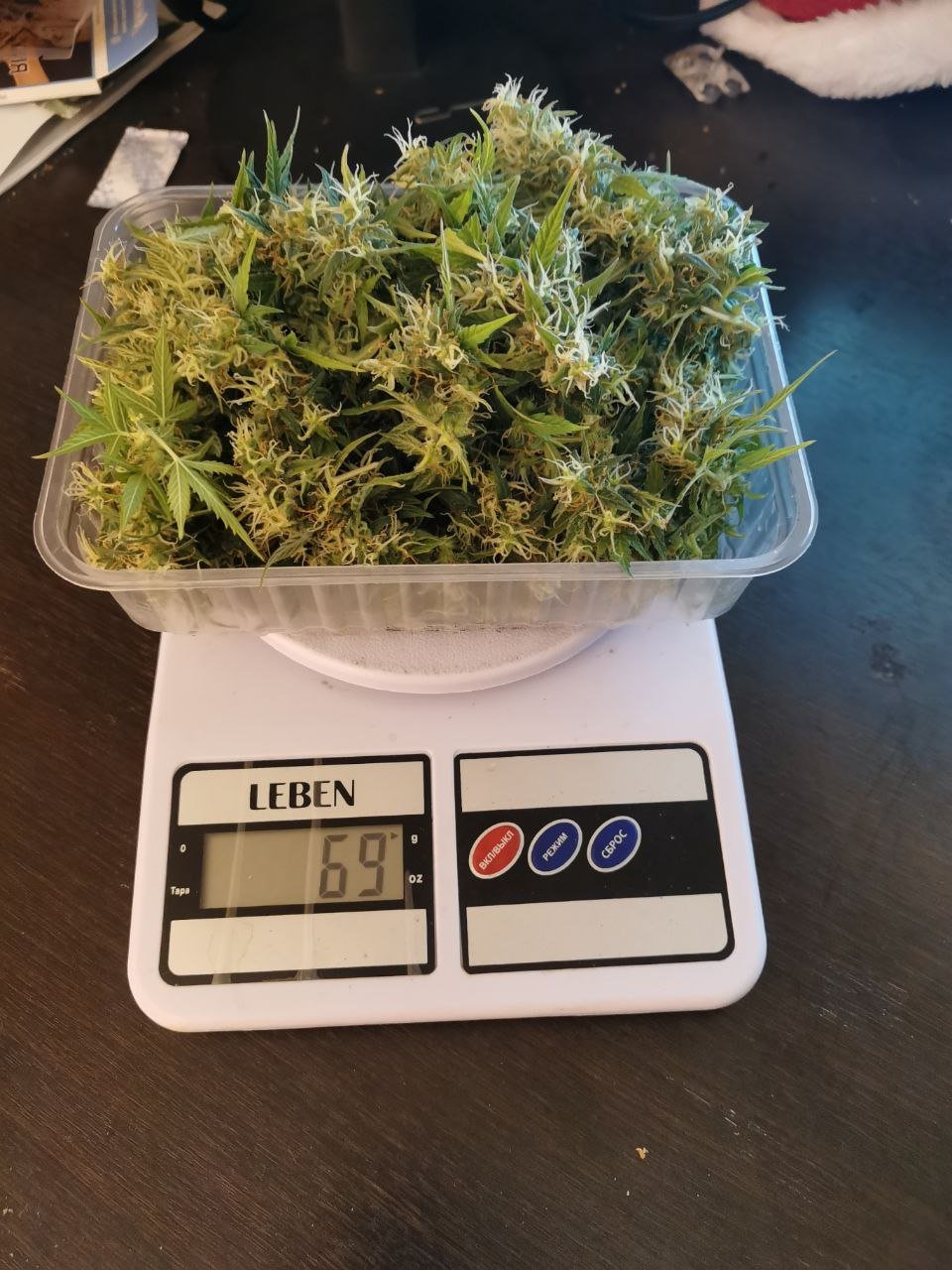 81 — копия.jpg