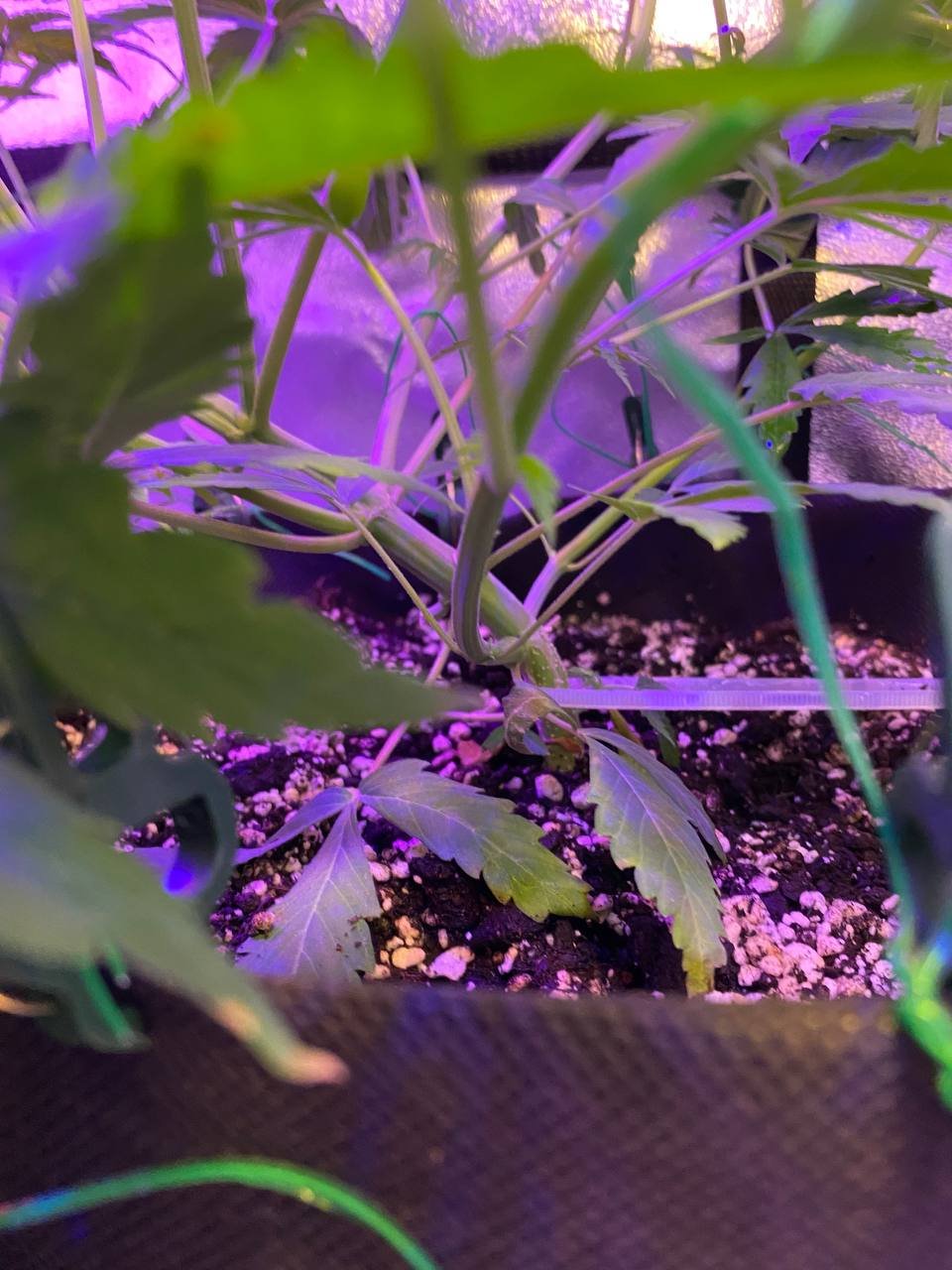 photo1676739698 (2).jpeg photo1676739698 (2).jpeg