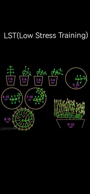 Screenshot_20230224_003303_com.android.gallery3d_edit_53590867636614.jpg Screenshot_20230224_003303_com.android.gallery3d_edit_53590867636614.jpg