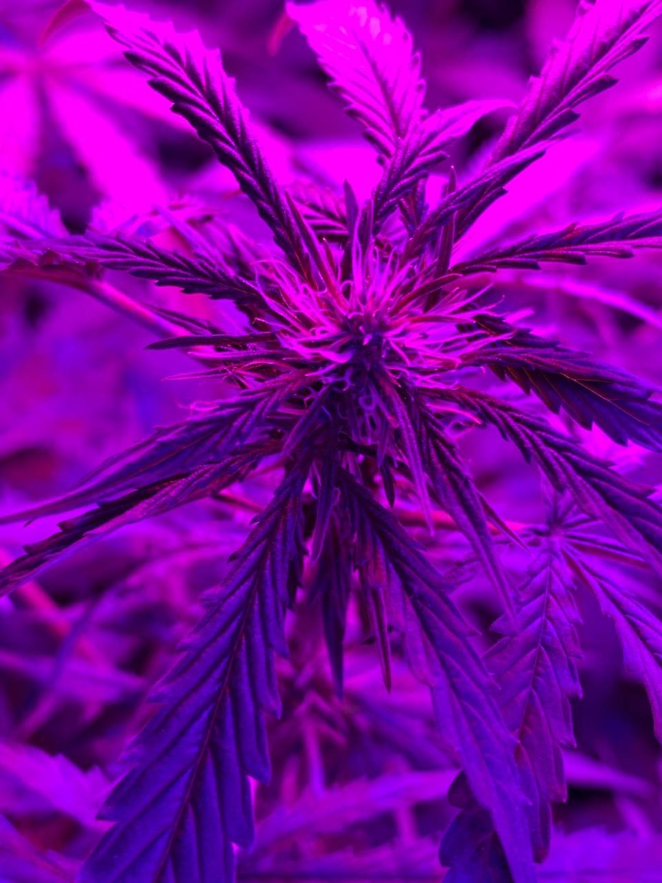 photo1678098168 (4).jpeg