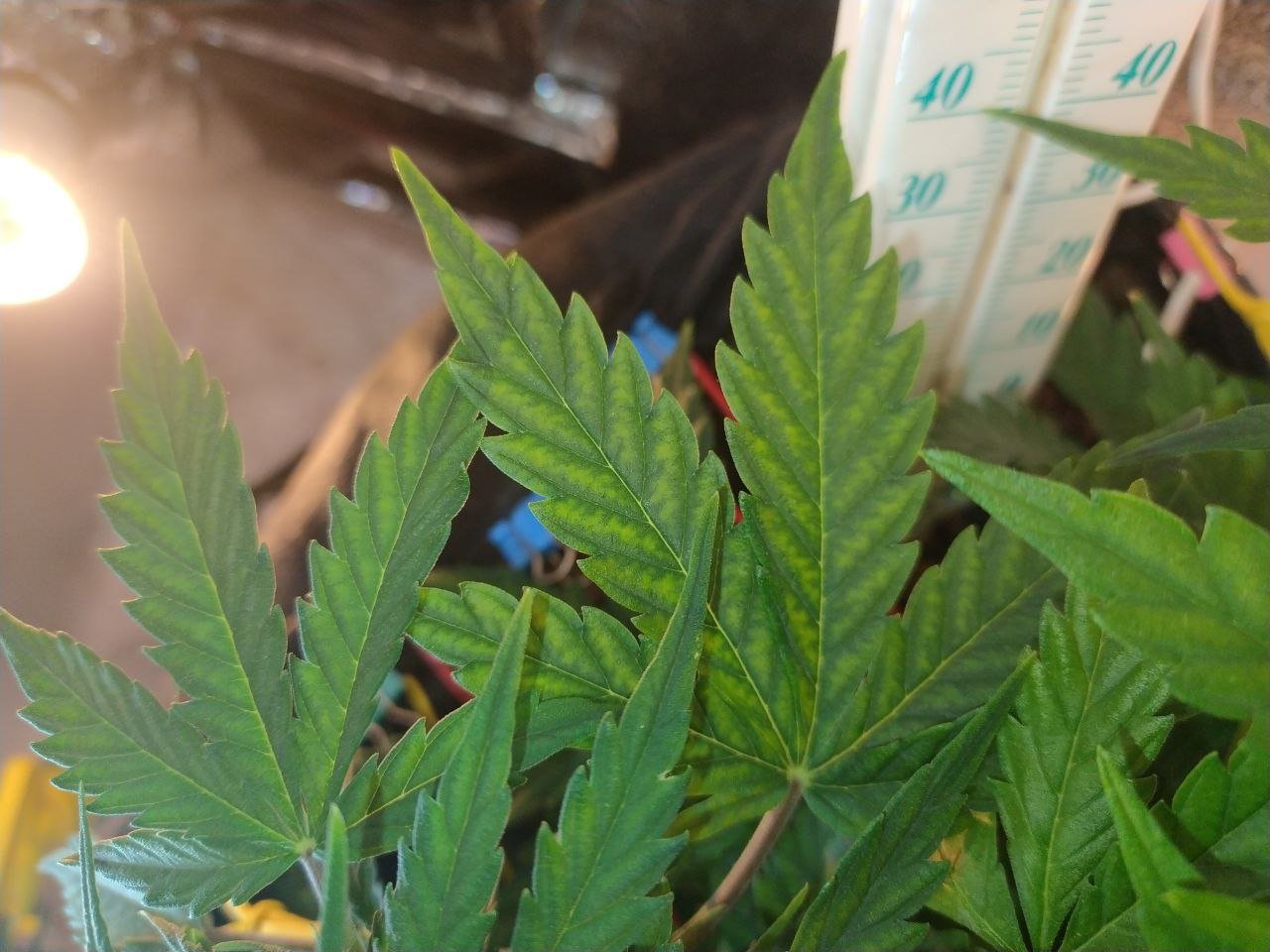 photo_2023-03-11_18-08-31 (3).jpg