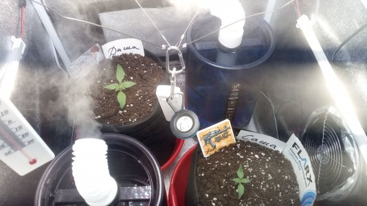 12.03.23 (1).jpg 12.03.23 (1).jpg