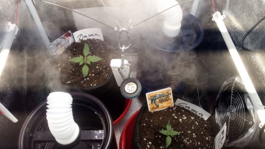 13.03.23 (1).jpg 13.03.23 (1).jpg