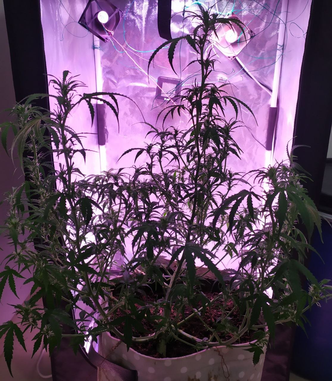 photo_2023-03-17_16-15-24 (2).jpg