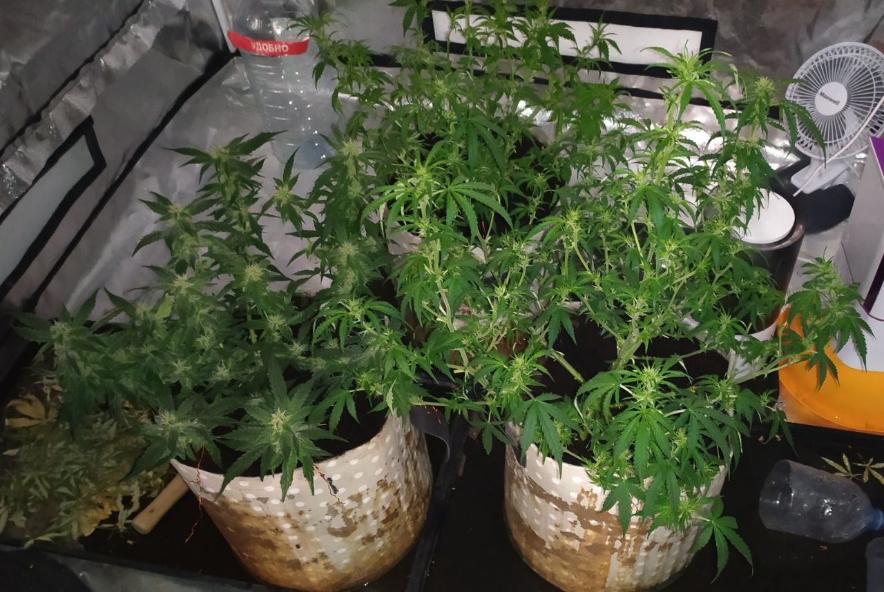 photo_2023-03-17_16-15-23 (4).jpg