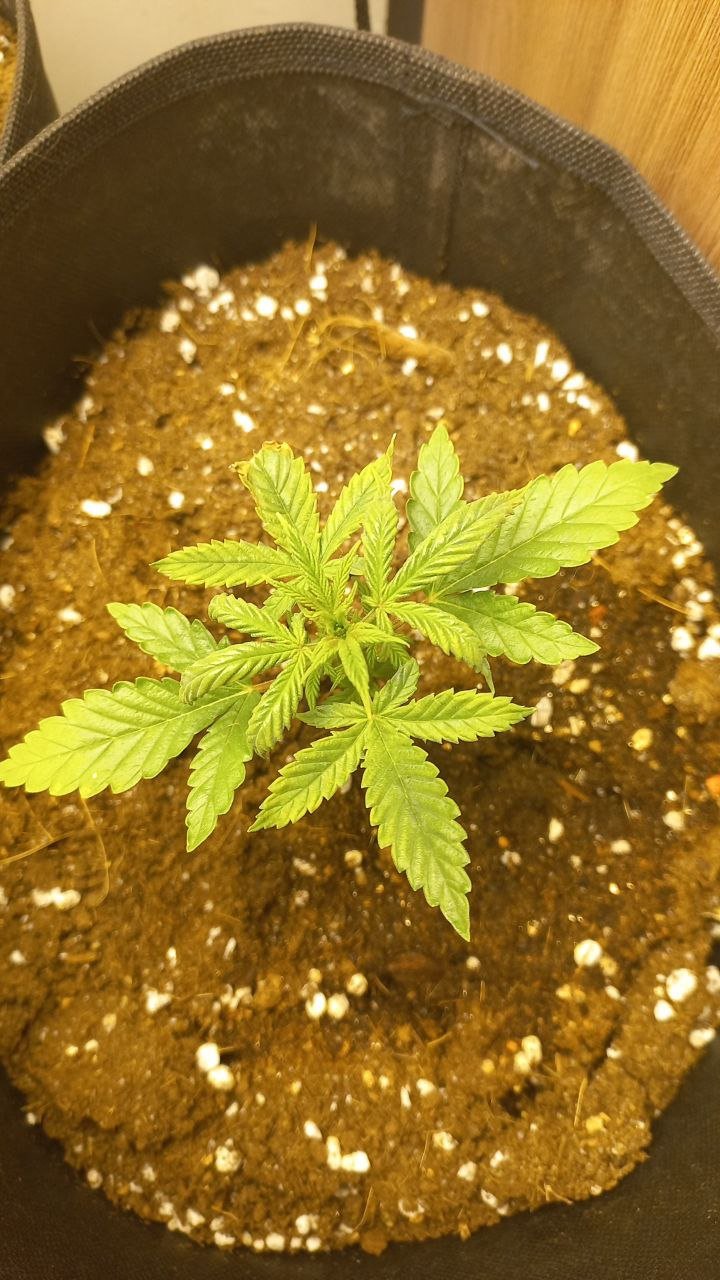 cb797fd4-e5ed-434b-9b75-9f9d4c1392e2.jpg cb797fd4-e5ed-434b-9b75-9f9d4c1392e2.jpg